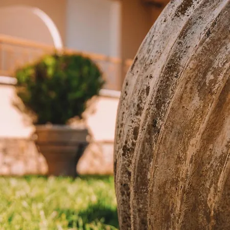 Dream Drop Kipariszía