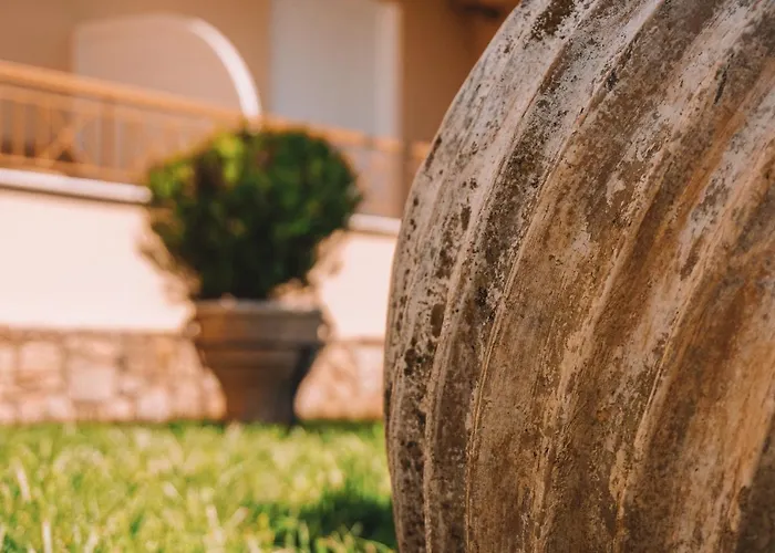 Dream Drop Kipariszía